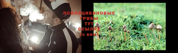таблы Арсеньев