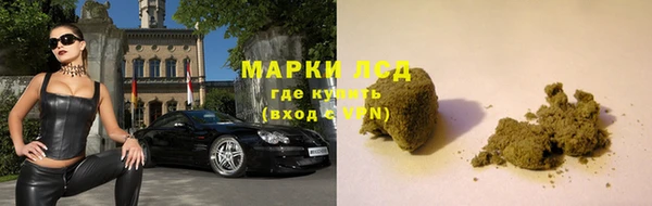 бошки Аркадак